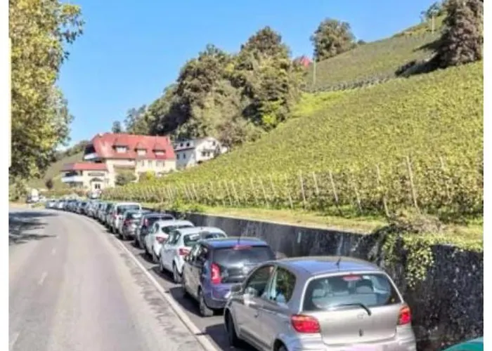 La Perla Pensionat 3*